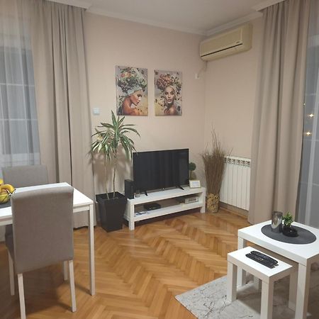 Apartman Centar Pozsarevác Kültér fotó