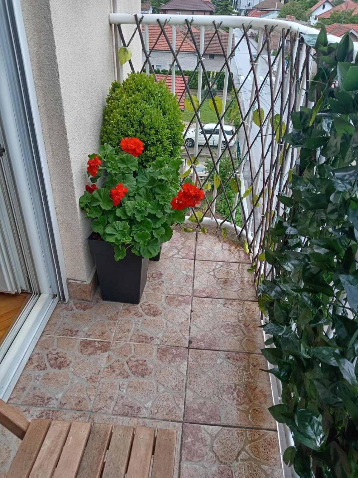 Apartman Centar Pozsarevác Kültér fotó